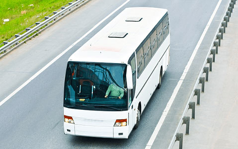Commercial Bus